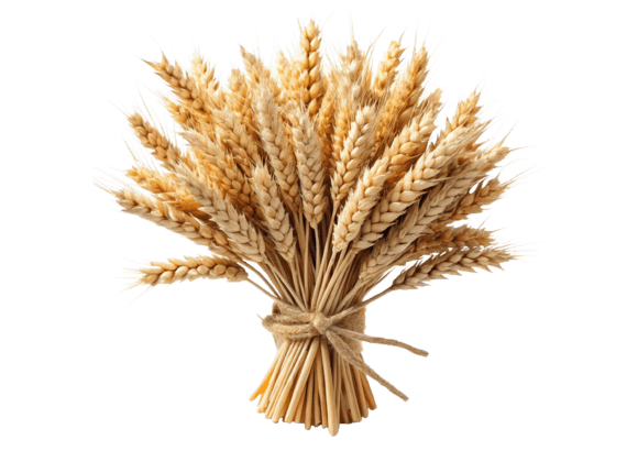 Exploring the Versatility of Wheat Ears Collection 3D Icon for Creative Projects
