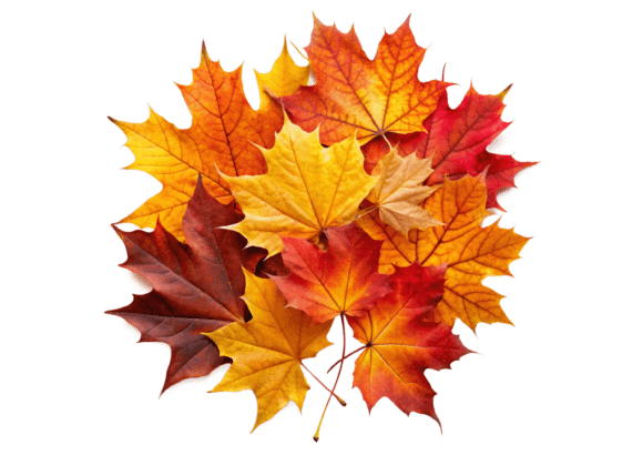 Unlock Your Creativity with High-Quality Watercolor Fall Leaf 3D Icons