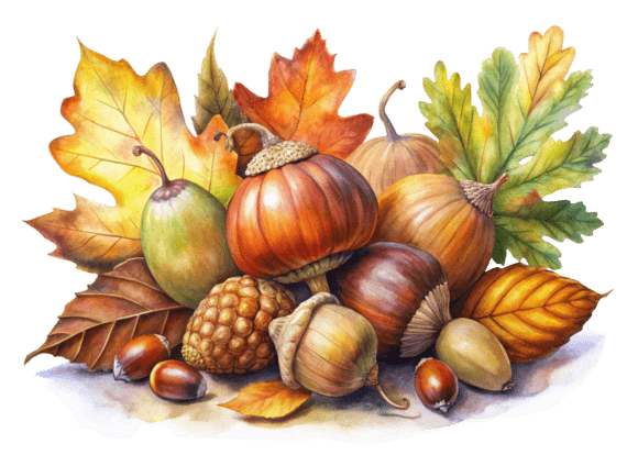 Unlocking Creativity with PNG Autumn Oak Acorns 3D Watercolor: A Versatile Design Asset